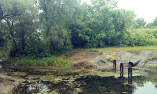 Экологические услуги от ПромМир-Нвм в Новомосковске - стоимость от 12390 руб.