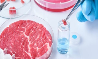 Лабораторный анализ пищевых продуктов по СанПиН в Новомосковске в октябре