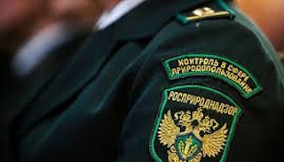 Подготовка к проверке Росприроднадзора в Новомосковске от ПромМир-Нвм, стоимость услуги от 20650 руб.
